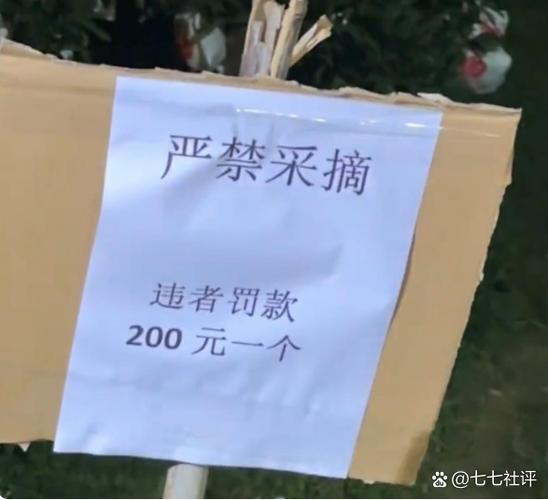 甘蔗几月份就不能吃缩略图