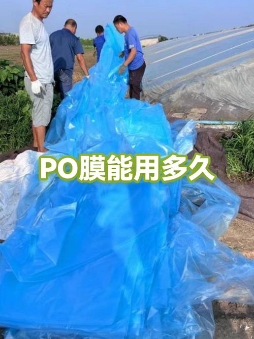 po膜一般寿命多长缩略图