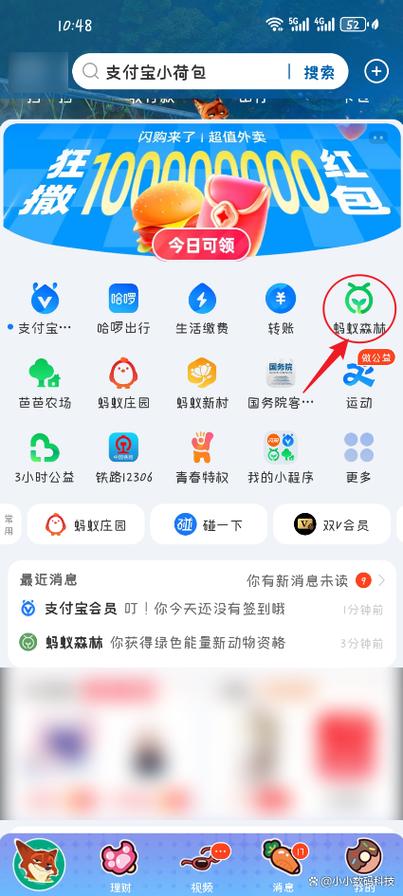 蚂蚁森林绑定钉钉游戏截图