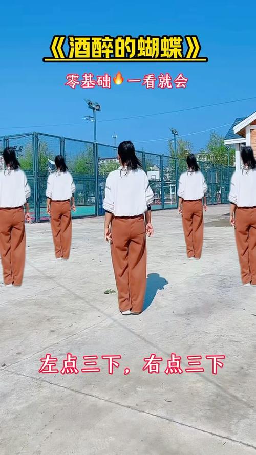 酒醉的蝴蝶广场舞游戏截图