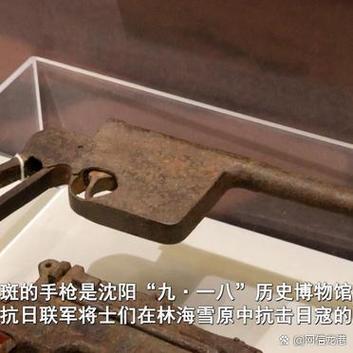 虫壳强弩和觅血者哪个好缩略图