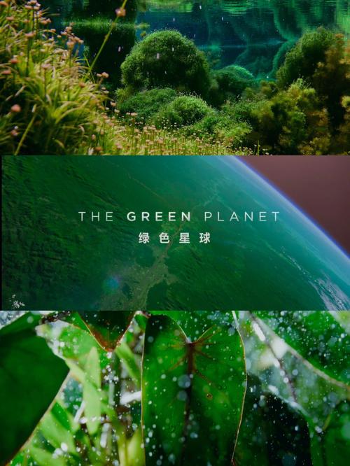 gl绿色星球挖矿几时上线的缩略图