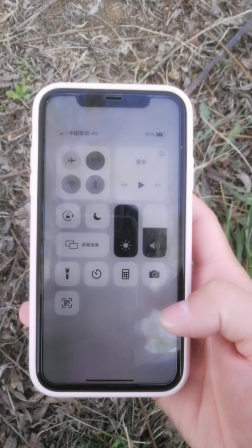 苹果手机灰屏了但可以用怎么办游戏截图