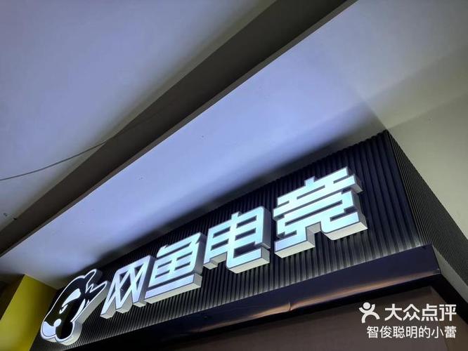 网鱼电竞酒店游戏截图