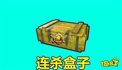 全皮肤盒子缩略图