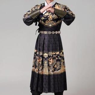 锦衣卫飞鱼服图标