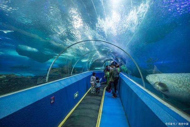深海水族馆基地缩略图