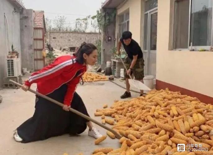 回农村老家干什么挣钱缩略图