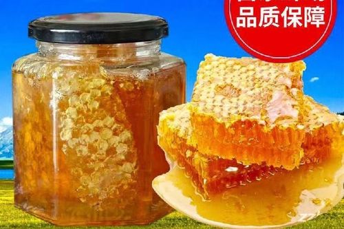 马蜂窝蜂蜜游戏截图