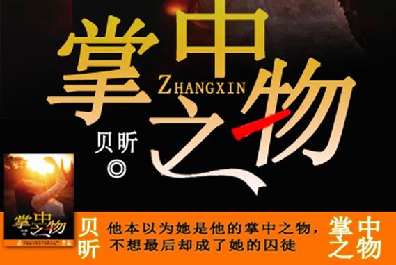 掌中之物贝昕txt百度云缩略图