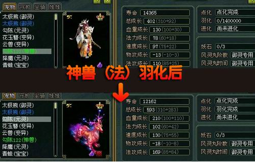 宠物羽化怎么开启缩略图