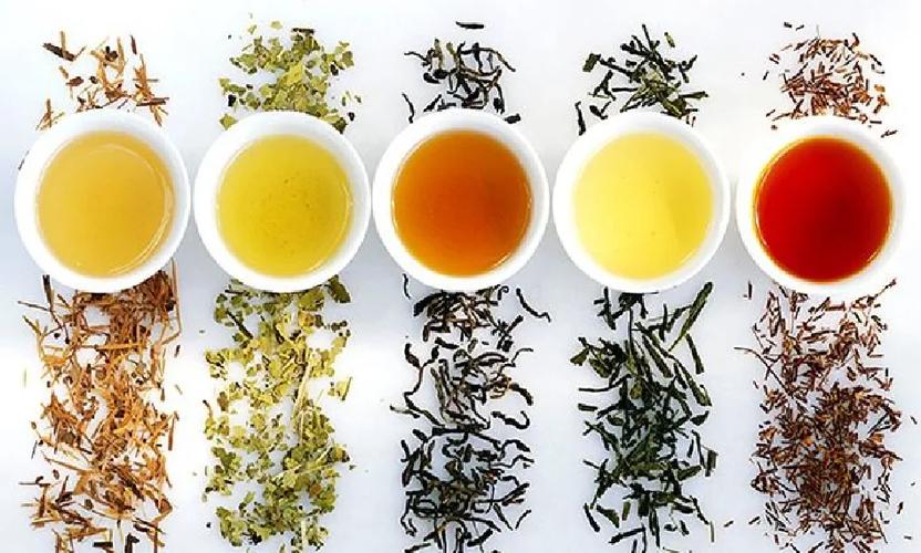 好的绿茶有哪些特点游戏截图