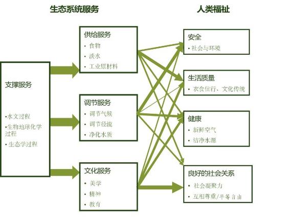生态包括哪些缩略图