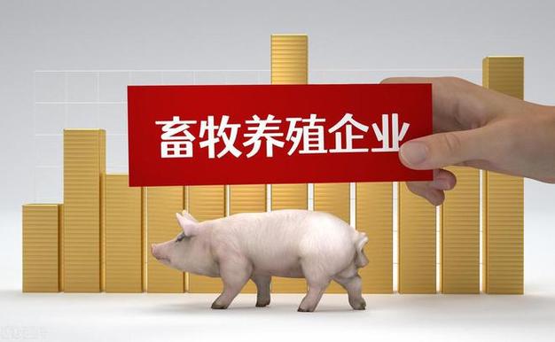 养猪的技术和养殖方法缩略图