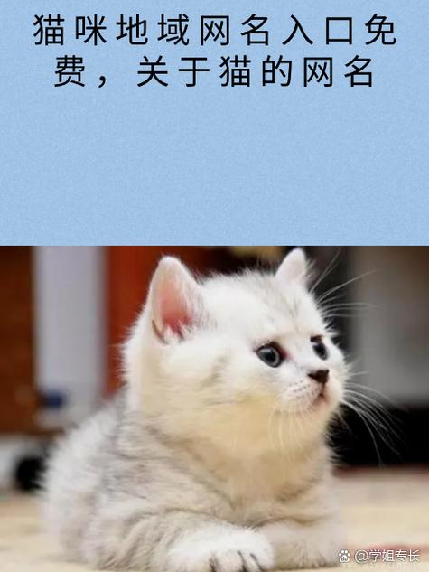 有趣的猫咪地域网名缩略图