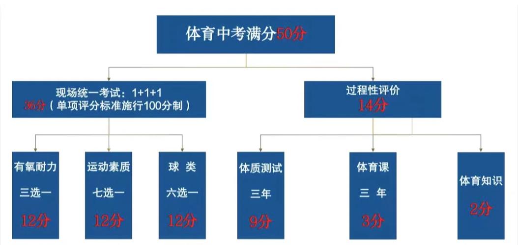 2026中考体育项目及标准分数缩略图