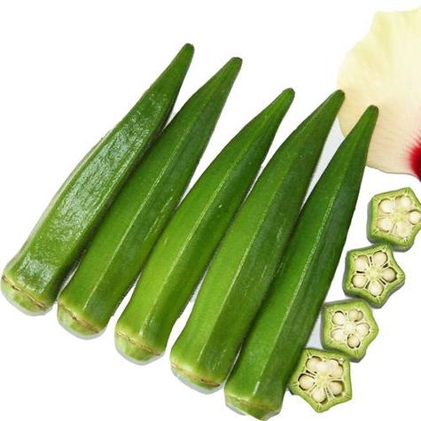 秋葵紫色的好还是绿色的好游戏截图