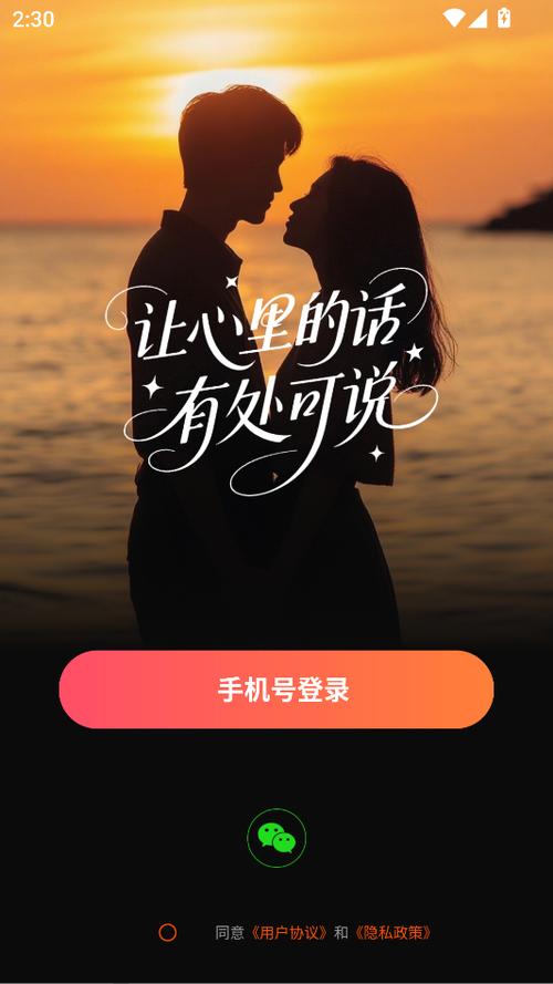 soul聊天软件下载缩略图