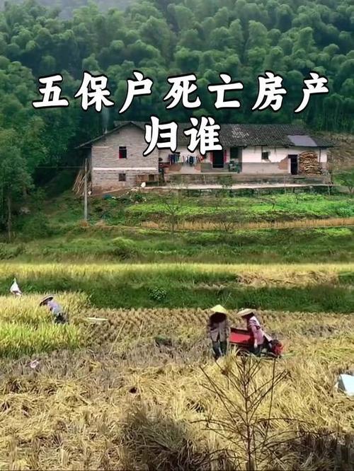 父亲死后宅基地归谁游戏截图