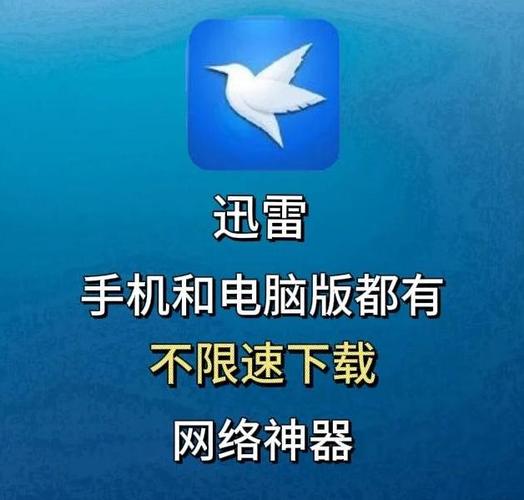 迅雷看广告加速在哪里缩略图