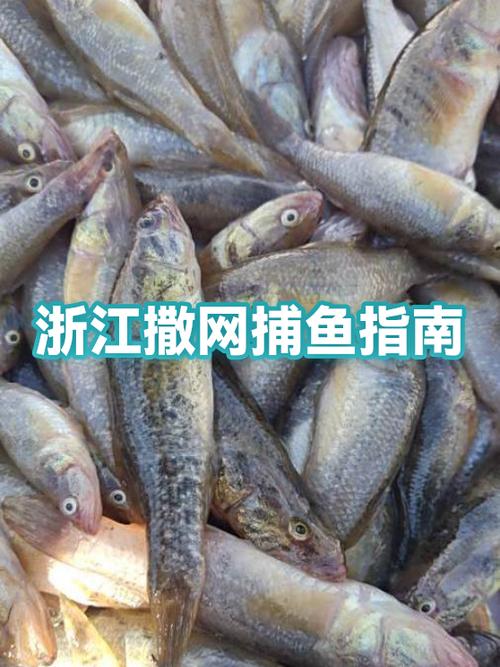 开一个渔场需要多少钱游戏截图