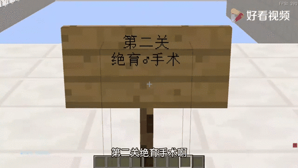 我的世界手术生宝宝缩略图