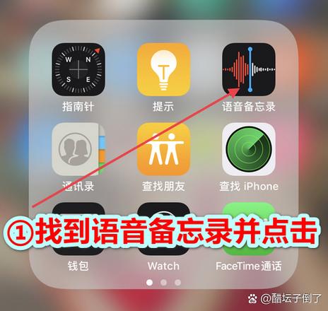 苹果手机一边语音一边看视频声音轻游戏截图