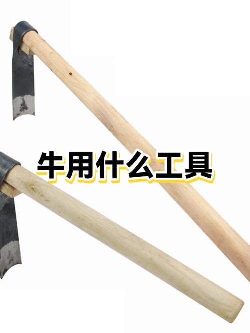 养牛达人算力牛有什么用缩略图