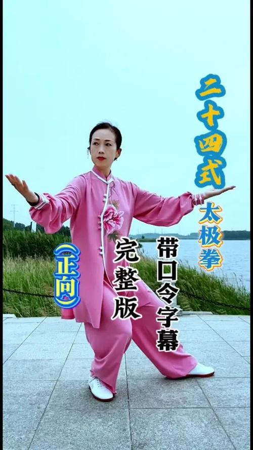 24式太极拳音乐带口令游戏截图