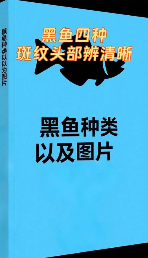 鱼身上有黑色斑点缩略图