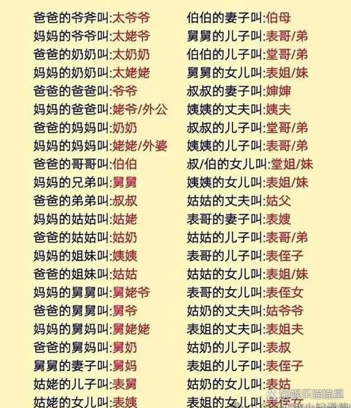 伯伯和堂兄弟的关系图标