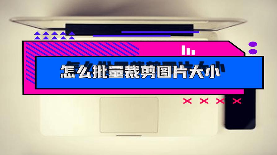 照片怎么裁剪大小尺寸缩略图
