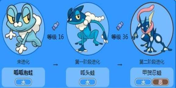 口袋妖怪xy忍蛙特性缩略图