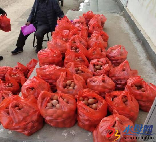 庄园捐出多少爱心鸡蛋图标