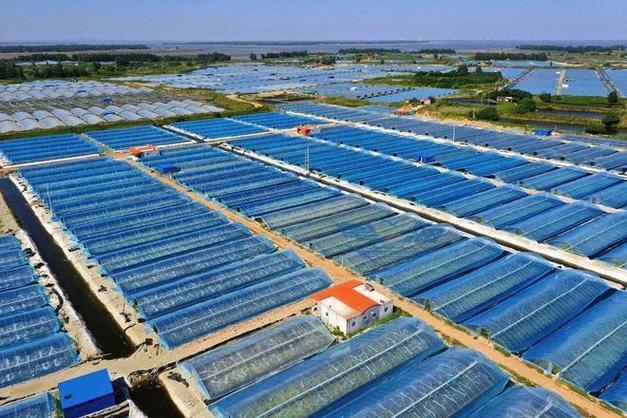 世界农场养虾赚钱真的吗游戏截图