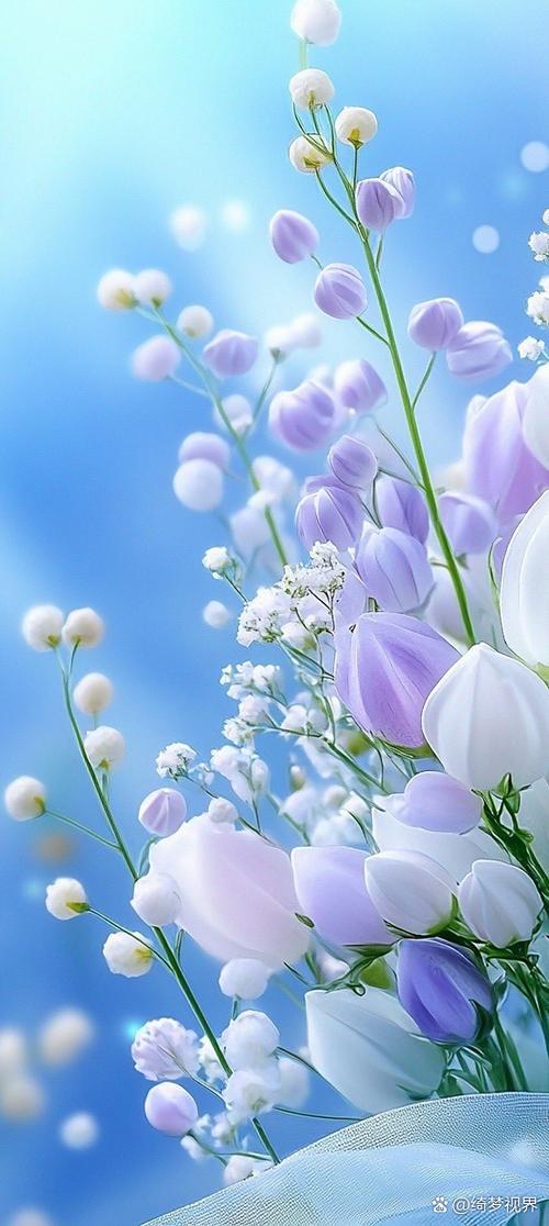 wallpaper壁纸缩略图