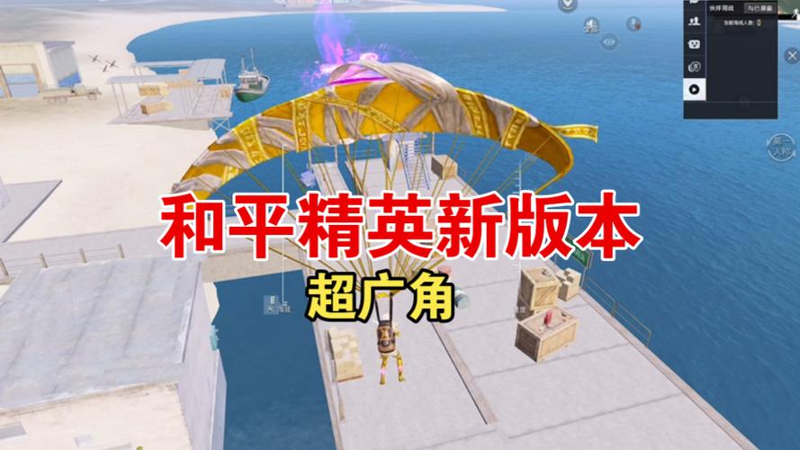 和平精英超广角无广告缩略图