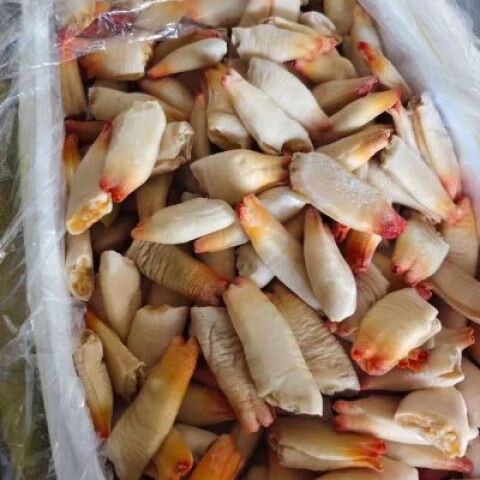 象拔蚌刺身做法缩略图