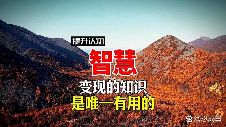 什么叫有智慧缩略图