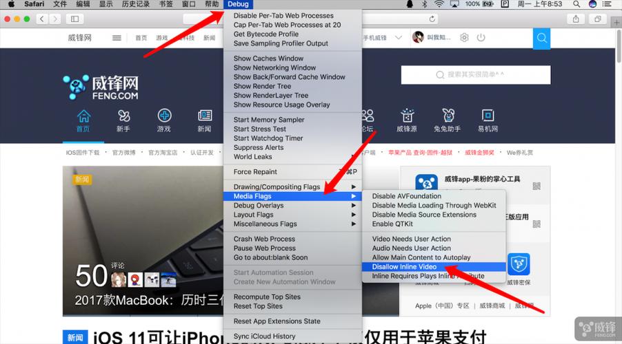 safari视频旋转缩略图