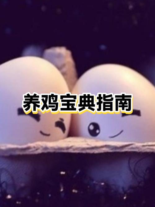 鸡的最好三个药游戏截图
