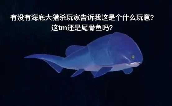 feedandgrow海底大猎杀图标