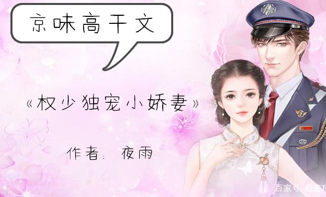 权少独宠小娇妻缩略图
