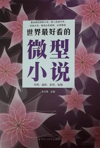 中国微型小说精选缩略图