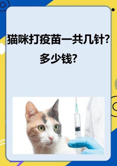 cat治疗法多少钱一针缩略图