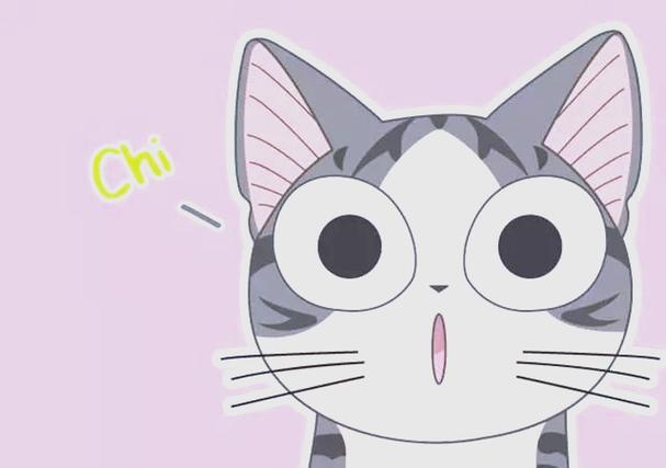 猫咪的动画片有哪些缩略图