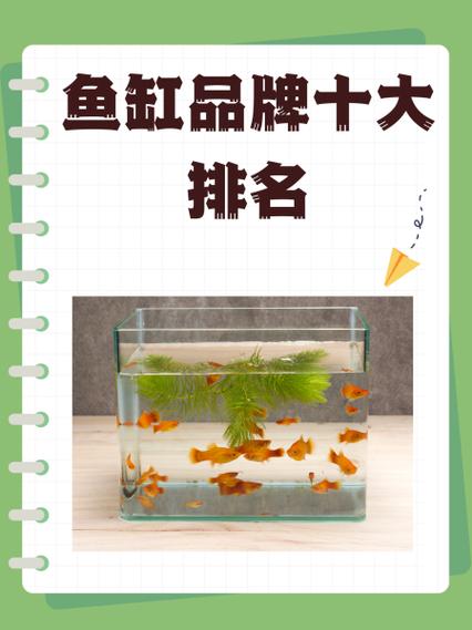 鱼缸品牌十大排名游戏截图