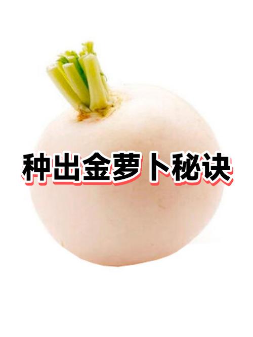 保卫萝卜3金萝卜攻略缩略图