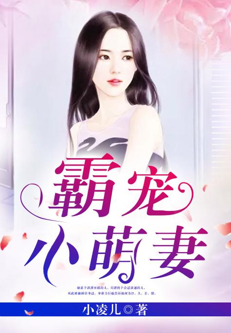 霸宠小妻游戏截图
