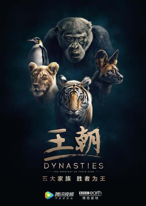 王朝在线观看免费游戏截图